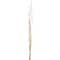 6 Pack: Mixed Natural Willow Bundle by Ashland®
